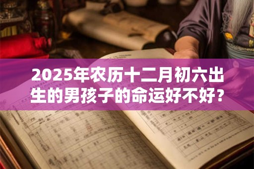 2025年农历十二月初六出生的男孩子的命运好不好？