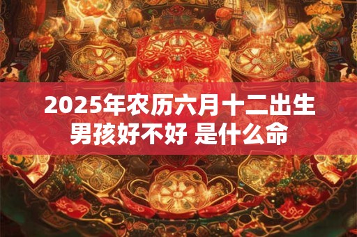 2025年农历六月十二出生男孩好不好 是什么命