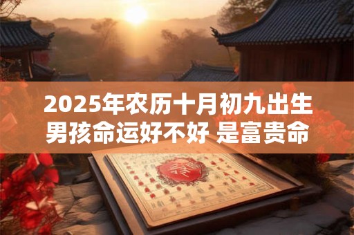 2025年农历十月初九出生男孩命运好不好 是富贵命吗