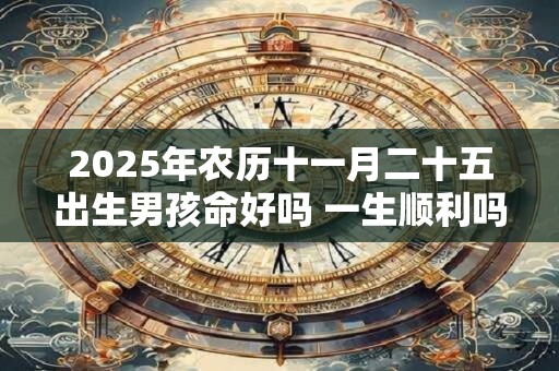 2025年农历十一月二十五出生男孩命好吗 一生顺利吗