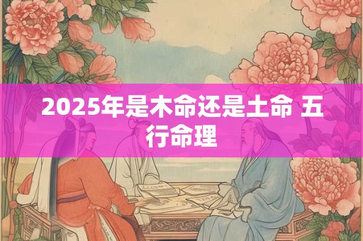 2025年是木命还是土命 五行命理