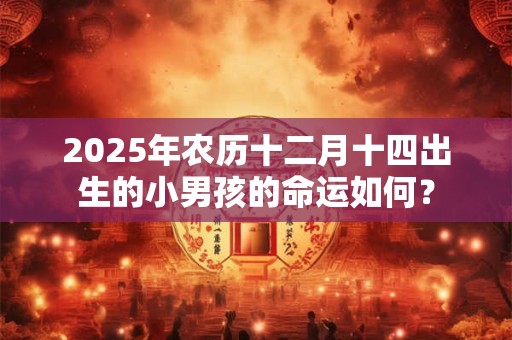 2025年农历十二月十四出生的小男孩的命运如何？