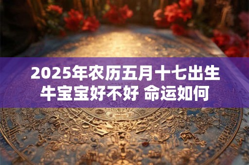 2025年农历五月十七出生牛宝宝好不好 命运如何