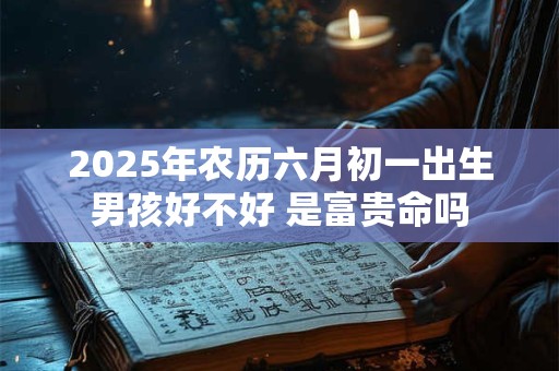 2025年农历六月初一出生男孩好不好 是富贵命吗