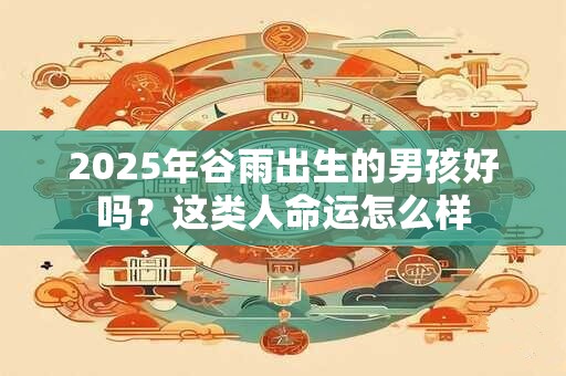 2025年谷雨出生的男孩好吗？这类人命运怎么样