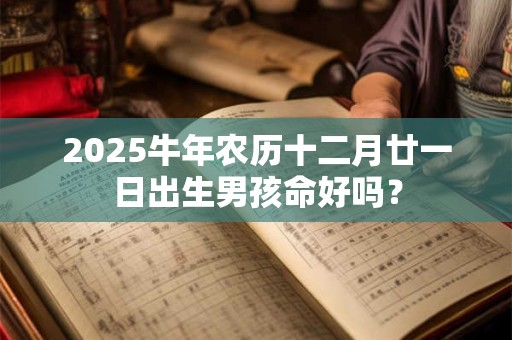 2025牛年农历十二月廿一日出生男孩命好吗？