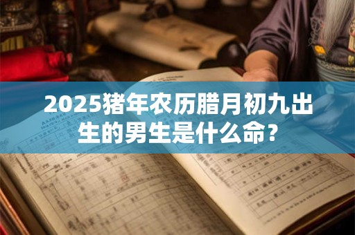 2025猪年农历腊月初九出生的男生是什么命？