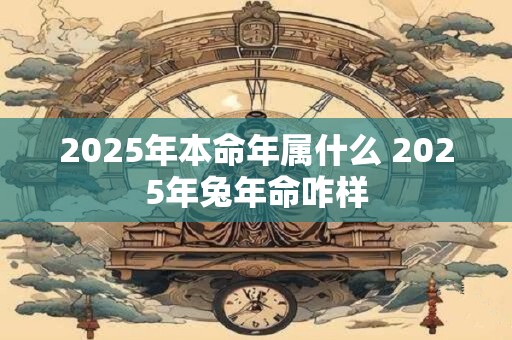 2025年本命年属什么 2025年兔年命咋样