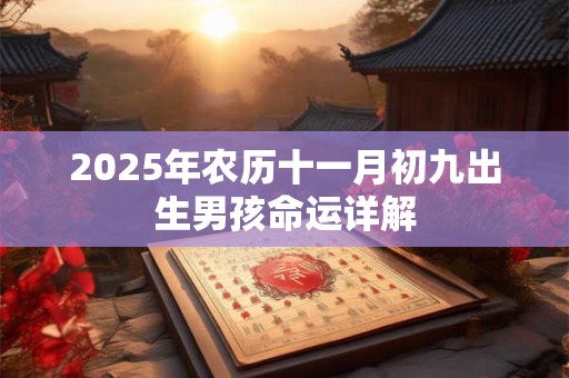 2025年农历十一月初九出生男孩命运详解