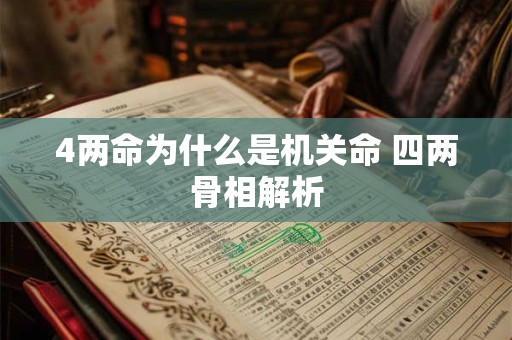 4两命为什么是机关命 四两骨相解析