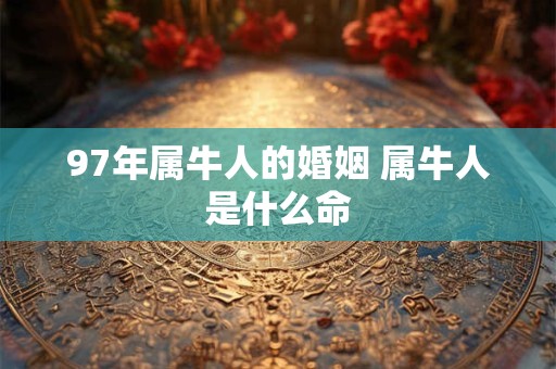 97年属牛人的婚姻 属牛人是什么命