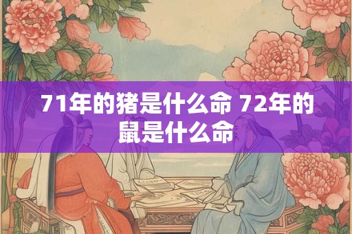 71年的猪是什么命 72年的鼠是什么命