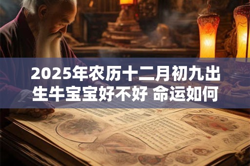 2025年农历十二月初九出生牛宝宝好不好 命运如何