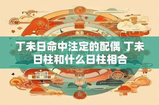 丁未日命中注定的配偶 丁未日柱和什么日柱相合