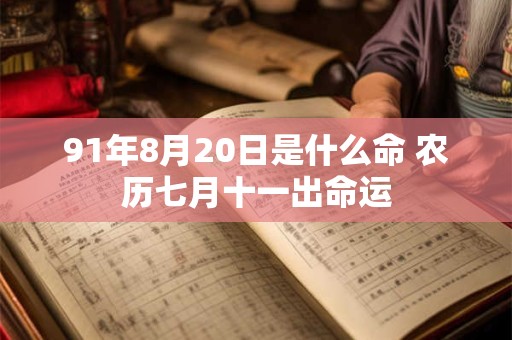91年8月20日是什么命 农历七月十一出命运