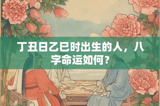 丁丑日乙巳时出生的人，八字命运如何？
