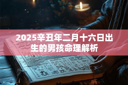 2025辛丑年二月十六日出生的男孩命理解析