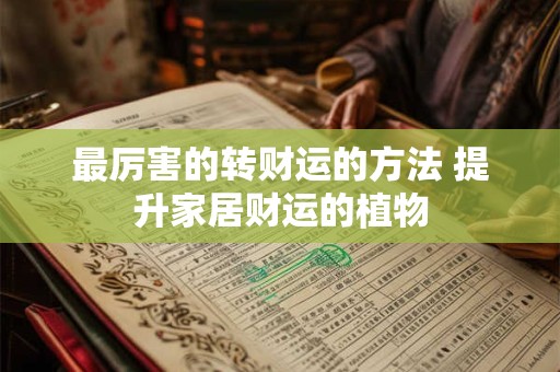 最厉害的转财运的方法 提升家居财运的植物
