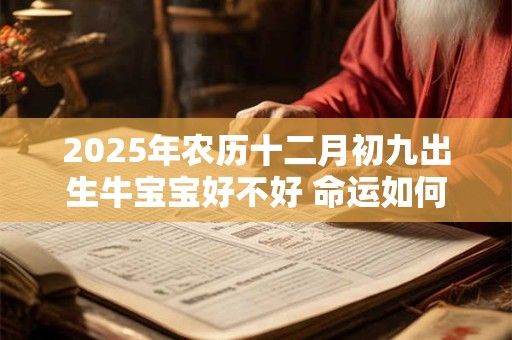 2025年农历十二月初九出生牛宝宝好不好 命运如何