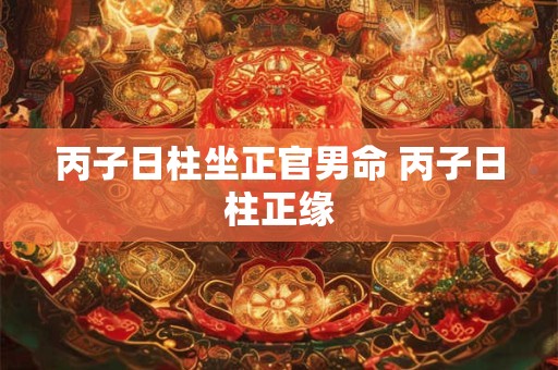 丙子日柱坐正官男命 丙子日柱正缘