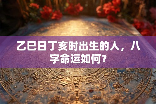 乙巳日丁亥时出生的人，八字命运如何？