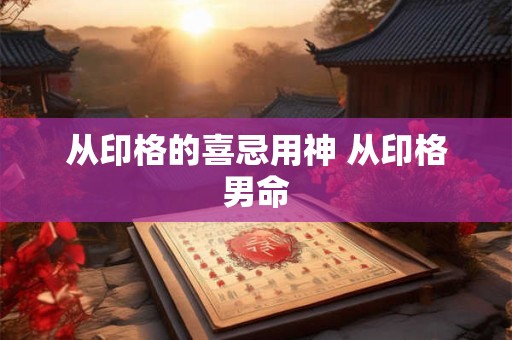 从印格的喜忌用神 从印格男命