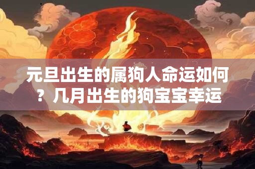 元旦出生的属狗人命运如何？几月出生的狗宝宝幸运
