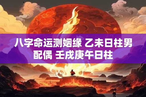 八字命运测姻缘 乙未日柱男配偶 壬戌庚午日柱