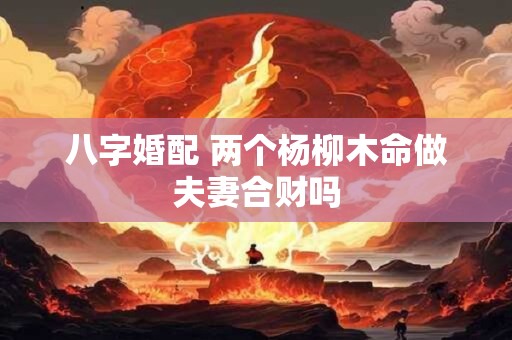八字婚配 两个杨柳木命做夫妻合财吗
