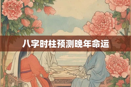 八字时柱预测晚年命运