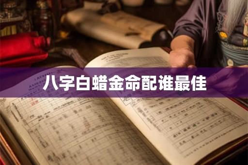 八字白蜡金命配谁最佳
