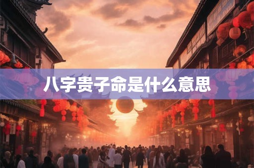 八字贵子命是什么意思
