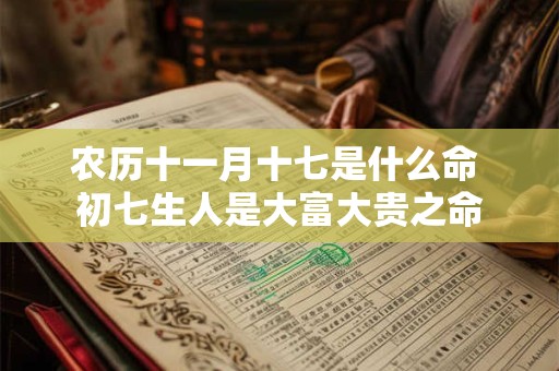 农历十一月十七是什么命 初七生人是大富大贵之命