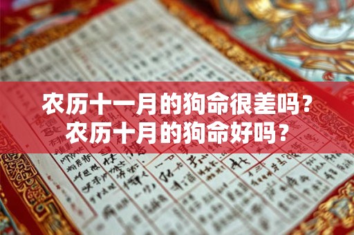 农历十一月的狗命很差吗？农历十月的狗命好吗？