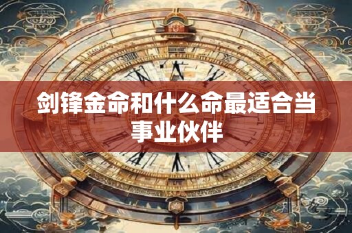 剑锋金命和什么命最适合当事业伙伴