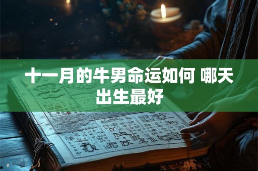 十一月的牛男命运如何 哪天出生最好