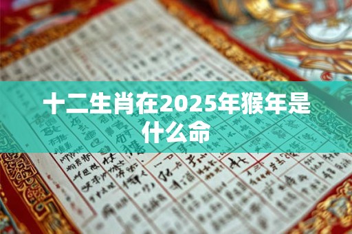 十二生肖在2025年猴年是什么命