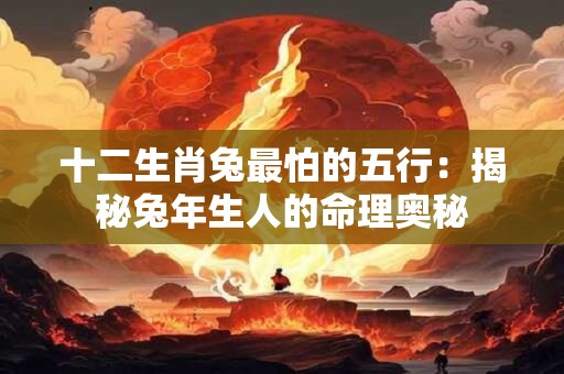 十二生肖兔最怕的五行：揭秘兔年生人的命理奥秘