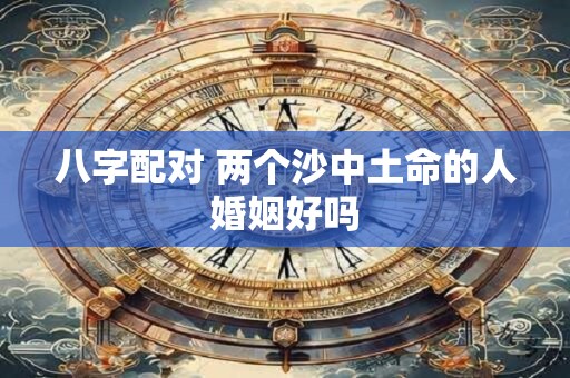 八字配对 两个沙中土命的人婚姻好吗
