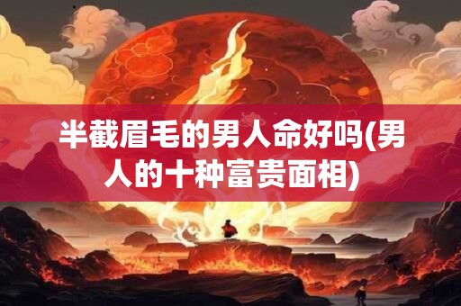 半截眉毛的男人命好吗(男人的十种富贵面相)
