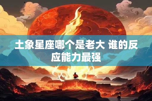 土象星座哪个是老大 谁的反应能力最强