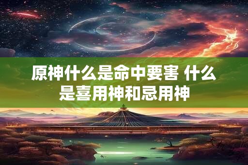 原神什么是命中要害 什么是喜用神和忌用神