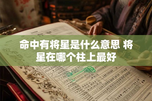 命中有将星是什么意思 将星在哪个柱上最好