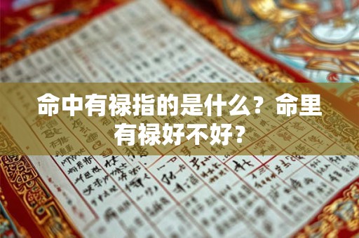命中有禄指的是什么？命里有禄好不好？