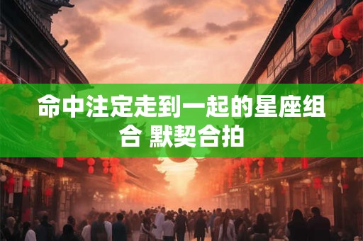 命中注定走到一起的星座组合 默契合拍