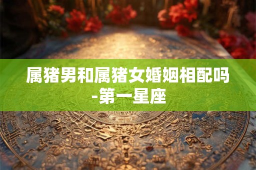 属猪男和属猪女婚姻相配吗-第一星座