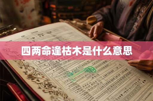 四两命逢枯木是什么意思