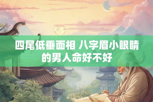 四尾低垂面相 八字眉小眼睛的男人命好不好