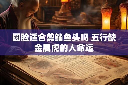 圆脸适合剪鲻鱼头吗 五行缺金属虎的人命运