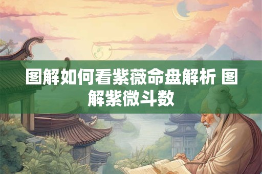 图解如何看紫薇命盘解析 图解紫微斗数